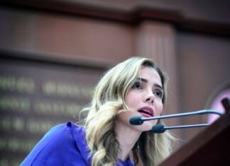 Ningún presunto agresor debe cubrirse en el manto del fuero: Brissa Arroyo