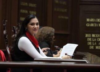 Desde las leyes debemos combatir la violencia de género: Diana Espinoza