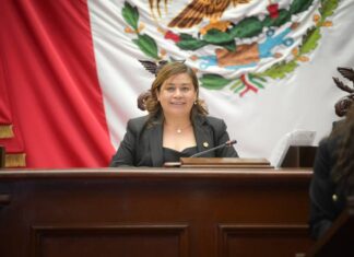 Preocupantes las agresiones en el país a los médicos veterinarios: Belinda Iturbide