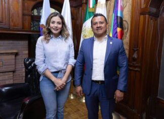 En el respeto a la pluralidad política coadyuvamos al desarrollo del estado: Brissa Arroyo