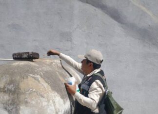 SSM intensifica saneamiento básico para combatir dengue en Uruapan