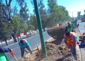 Gobierno de Morelia interviene áreas verdes en zona de las Tarascas