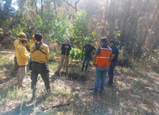 PC Estatal atiende reporte de manifestación termal en Uruapan
