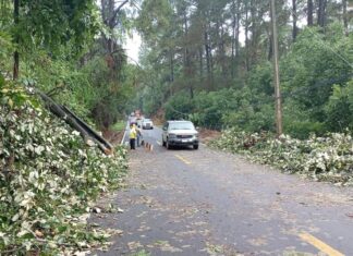 SCOP activa protocolo de atención en carreteras ante alerta de lluvias en Michoacán