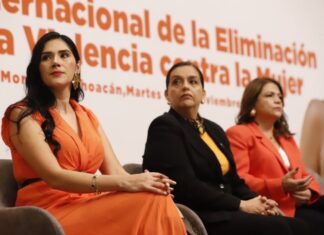 Violencia de género, un tema de urgencia en la agenda gubernamental: Diana Espinoza