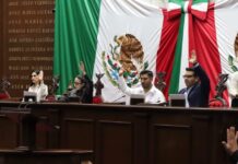 Congreso del Estado incrementa penas en delitos de maltrato y crueldad animal