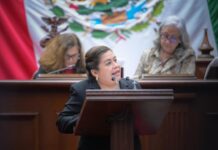 A propuesta de Belinda Iturbide, 76 Legislatura exhorta a que centros comerciales otorguen dos horas de estacionamiento gratuito