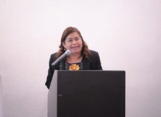 Belinda Iturbide propone ante el pleno promover inclusión laboral de personas con discapacidad