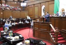 Octavio Ocampo presenta punto de acuerdo para exhortar a reforzar la seguridad en los santuarios de la Mariposa Monarca