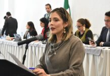 Plantea Brissa Arroyo que no prescriba o venza delito de daño moral por violencia sexual y de género