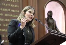 Propone Brissa Arroyo crear un Consejo Ciudadano Legislativo