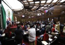 Congreso del Estado define por mandato constitucional el acceso a un medio ambiente sano y el bienestar animal